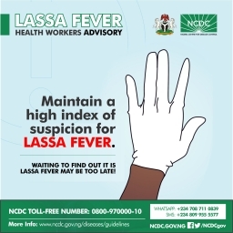 Image result for lassa fever